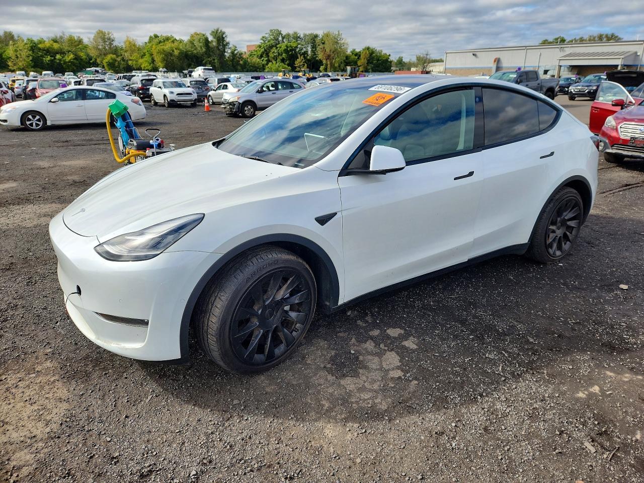 2022 TESLA MODEL Y | 7SAYGDEE1NA020681 | UPCARS