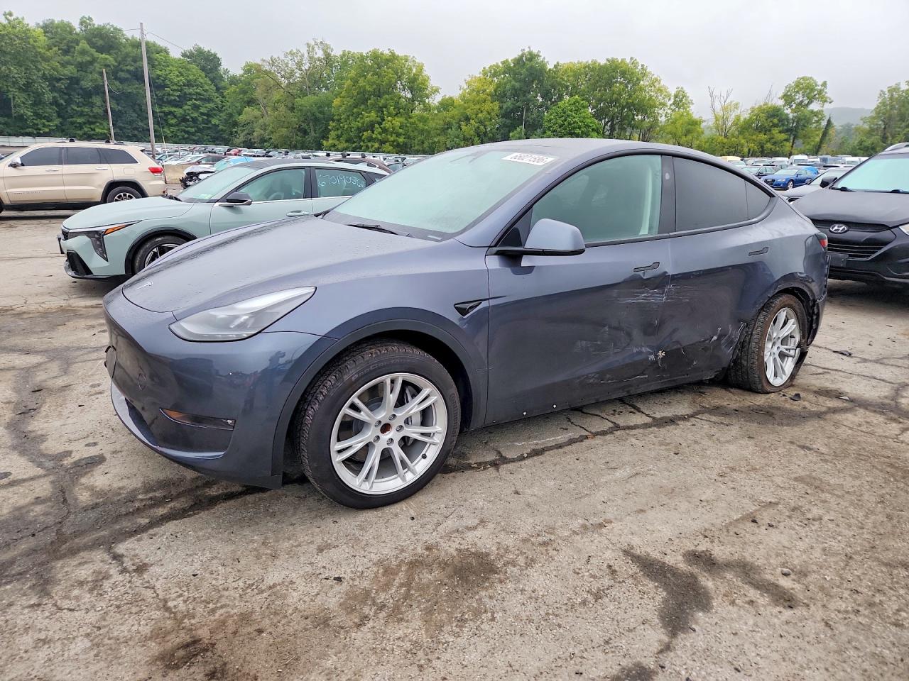 2023 TESLA MODEL Y | 7SAYGDED7PF923561 | UPCARS