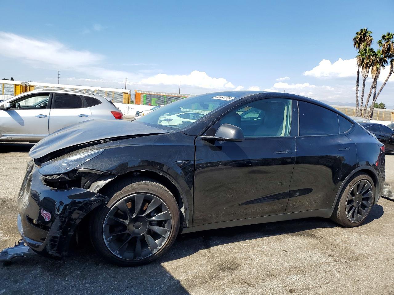 2024 TESLA MODEL Y | 7SAYGDED3RF057666 | UPCARS