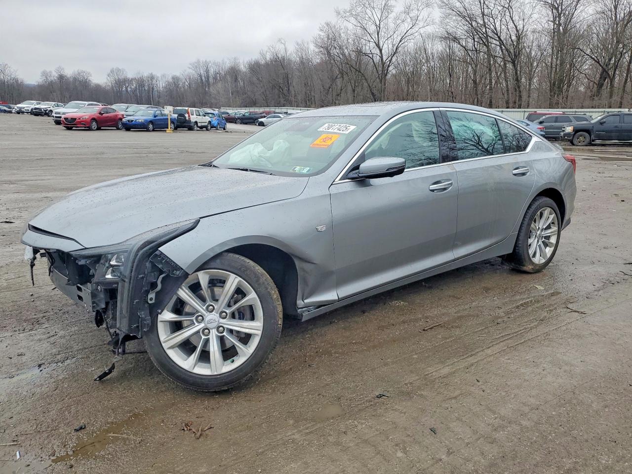 2025 CADILLAC CT5 PREMIUM LUXURY | 1G6DS5RK3S0122256 | UPCARS