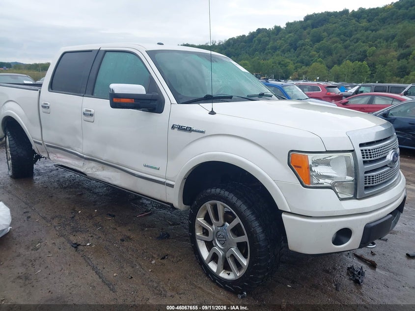 2012 FORD F-150 PLATINUM | 1FTFW1ET5CFC30975 | UPCARS