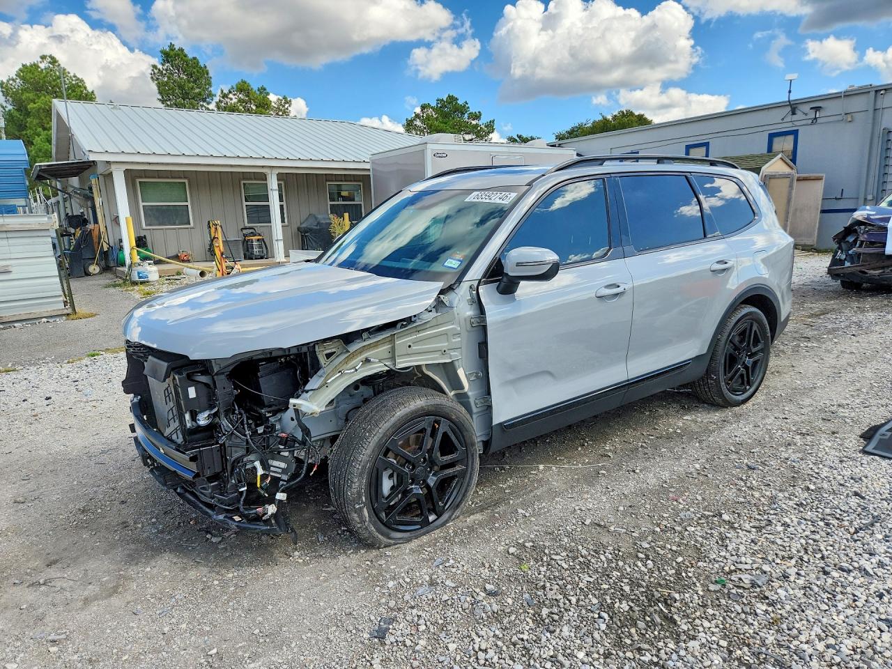 2025 KIA TELLURID EX X-LINE | 5XYP3DGC1SG695079 | UPCARS