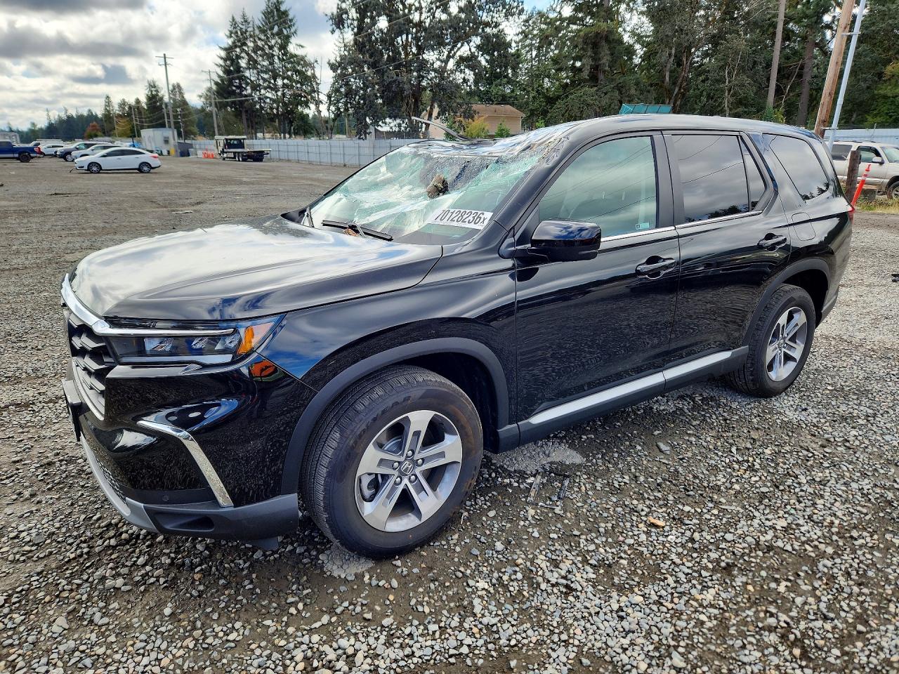 2025 HONDA PILOT EXL | 5FNYG1H49SB181776 | UPCARS