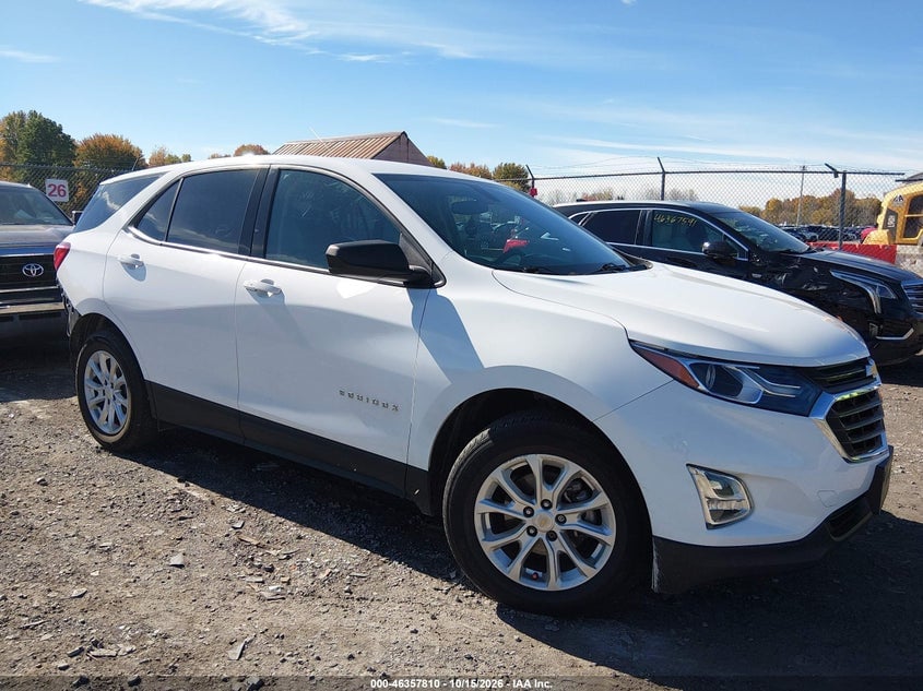 2019 CHEVROLET EQUINOX LS | 2GNAXHEV3K6129595 | UPCARS