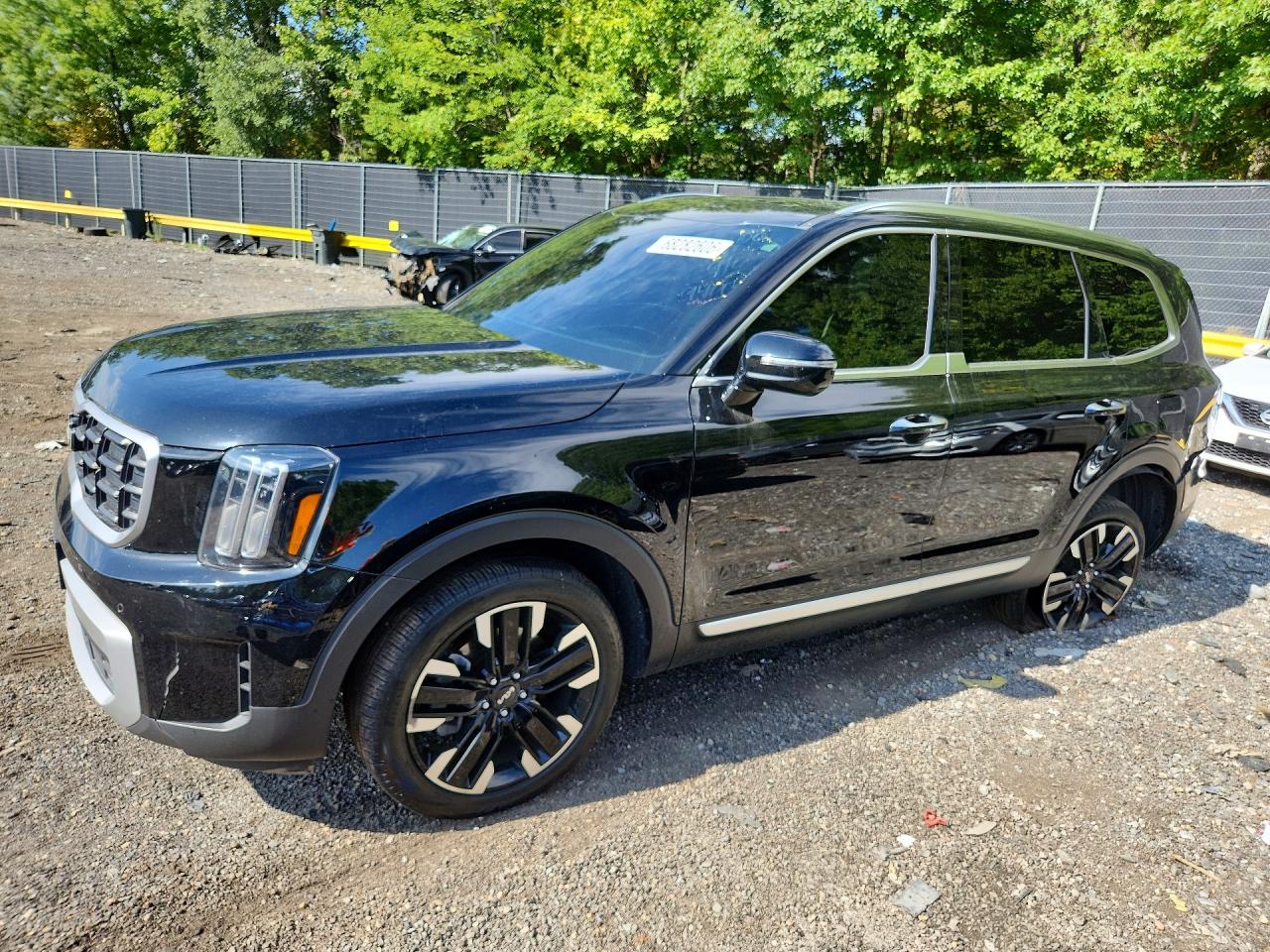 2024 KIA TELLURIDE SX | 5XYP54GC8RG439400 | UPCARS