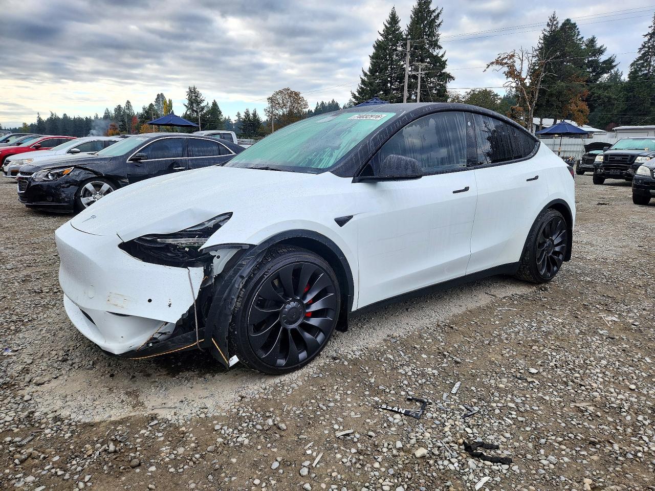 2022 TESLA MODEL Y | 7SAYGDEF0NF545713 | UPCARS