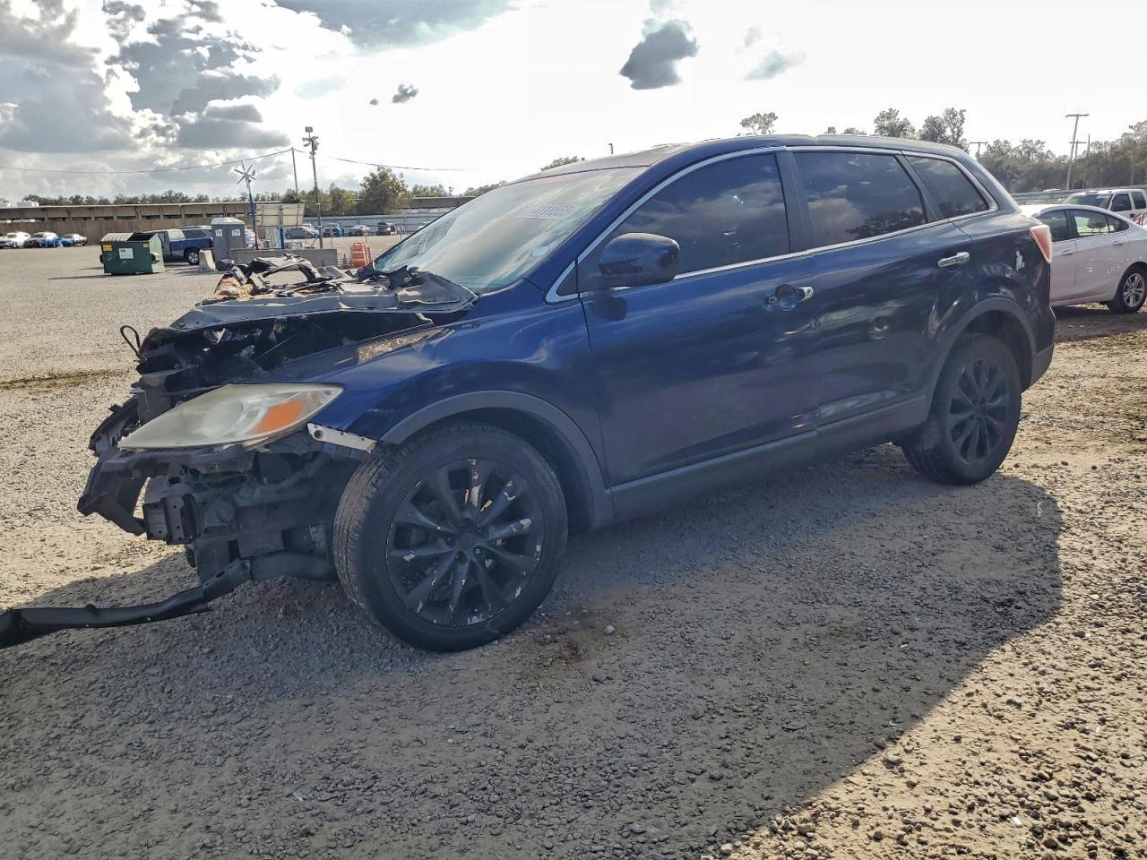 2011 MAZDA CX-9 | JM3TB2CA5B0330766 | UPCARS