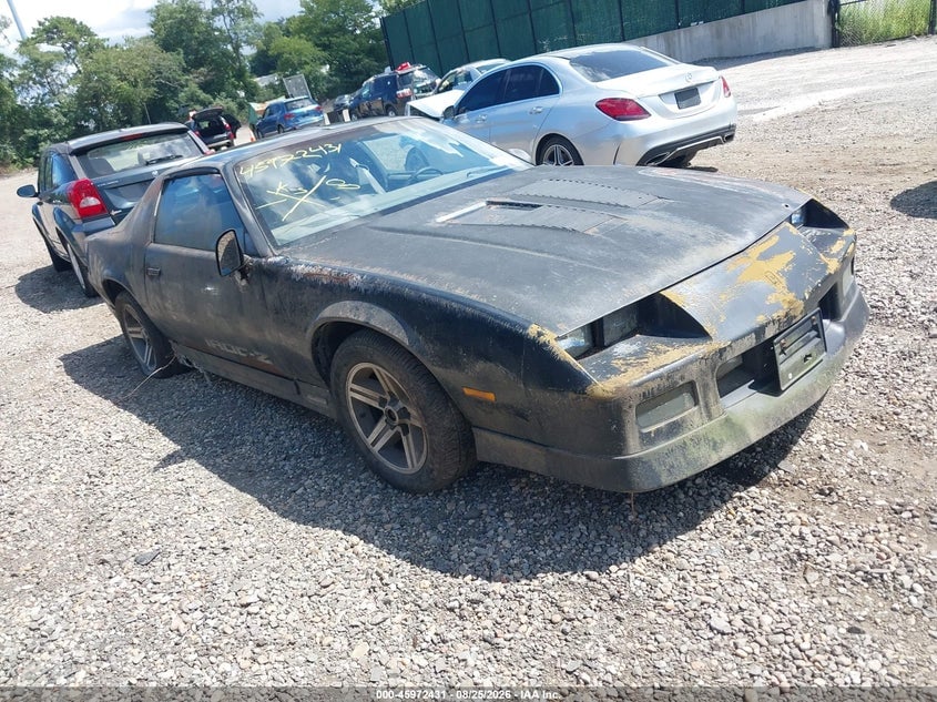 1985 CHEVROLET CAMARO | 1G1FP87F6FN175629 | UPCARS