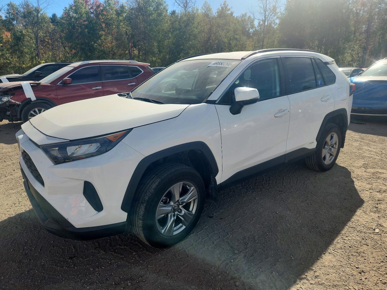 2024 TOYOTA RAV4 LE | 2T3BWRFVXRW221273 | UPCARS