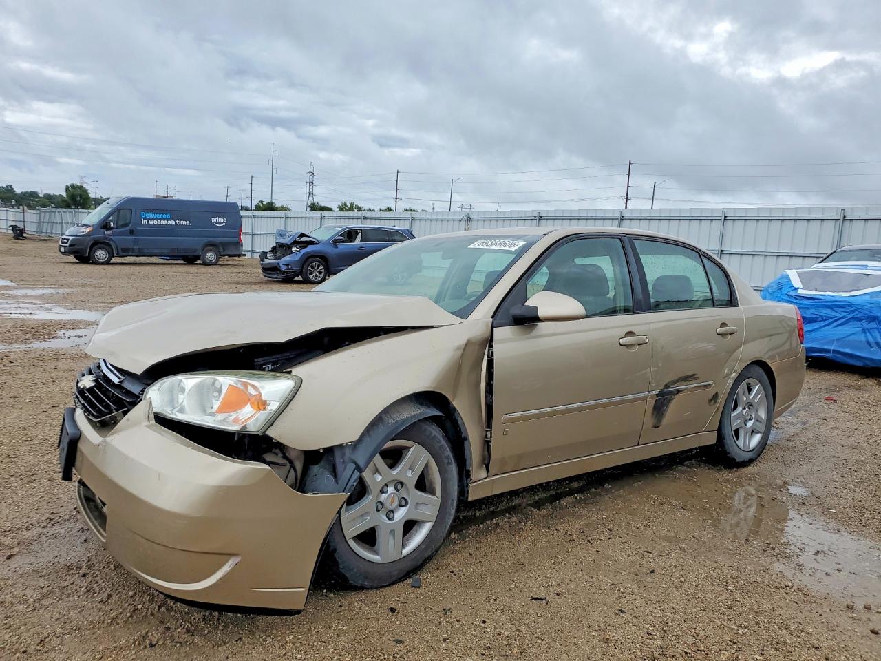 2006 CHEVROLET MALIBU LT | 1G1ZT51F06F158917 | UPCARS