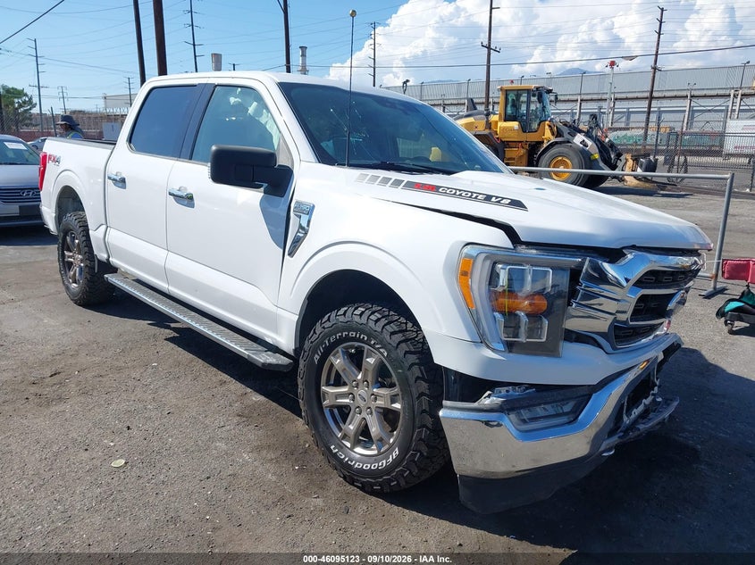 2021 FORD F-150 XLT | 1FTFW1E59MKE43017 | UPCARS