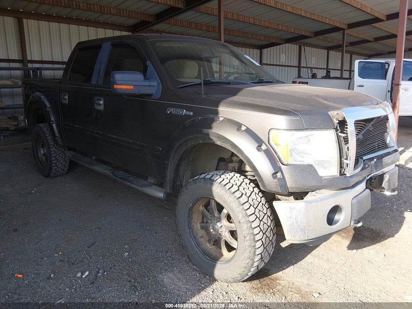 2009 FORD F-150 FX4/KING RANCH/LARIAT/PLATINUM/XL/XLT | 1FTPW14VX9KC36133 | UPCARS