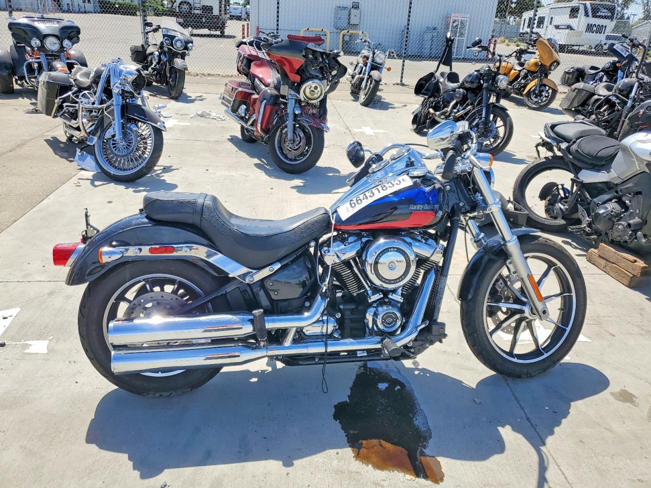 2019 HARLEY-DAVIDSON FX | 1HD1YNJ67KB067164 | UPCARS