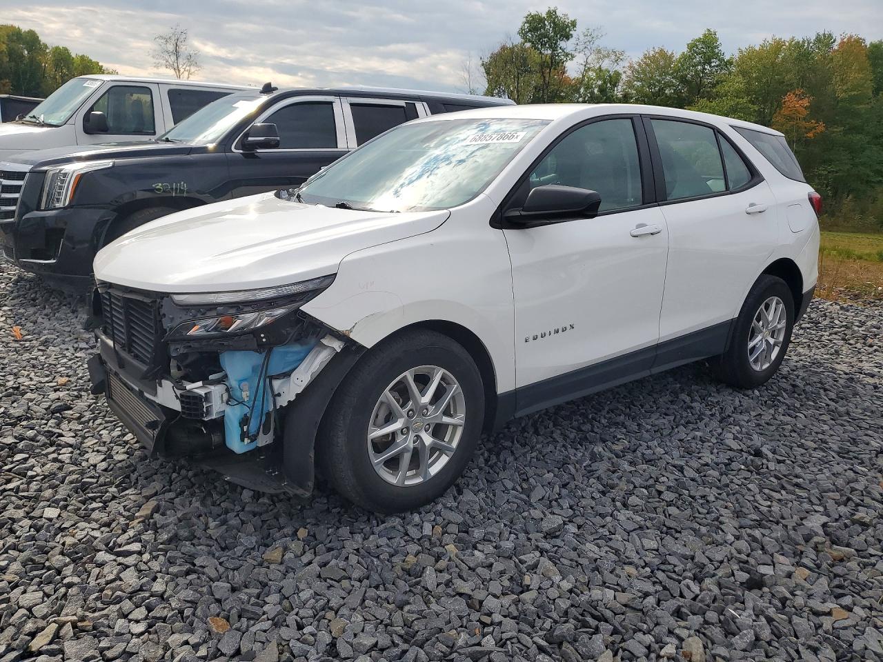 2023 CHEVROLET EQUINOX LS | 3GNAXHEG2PL199366 | UPCARS