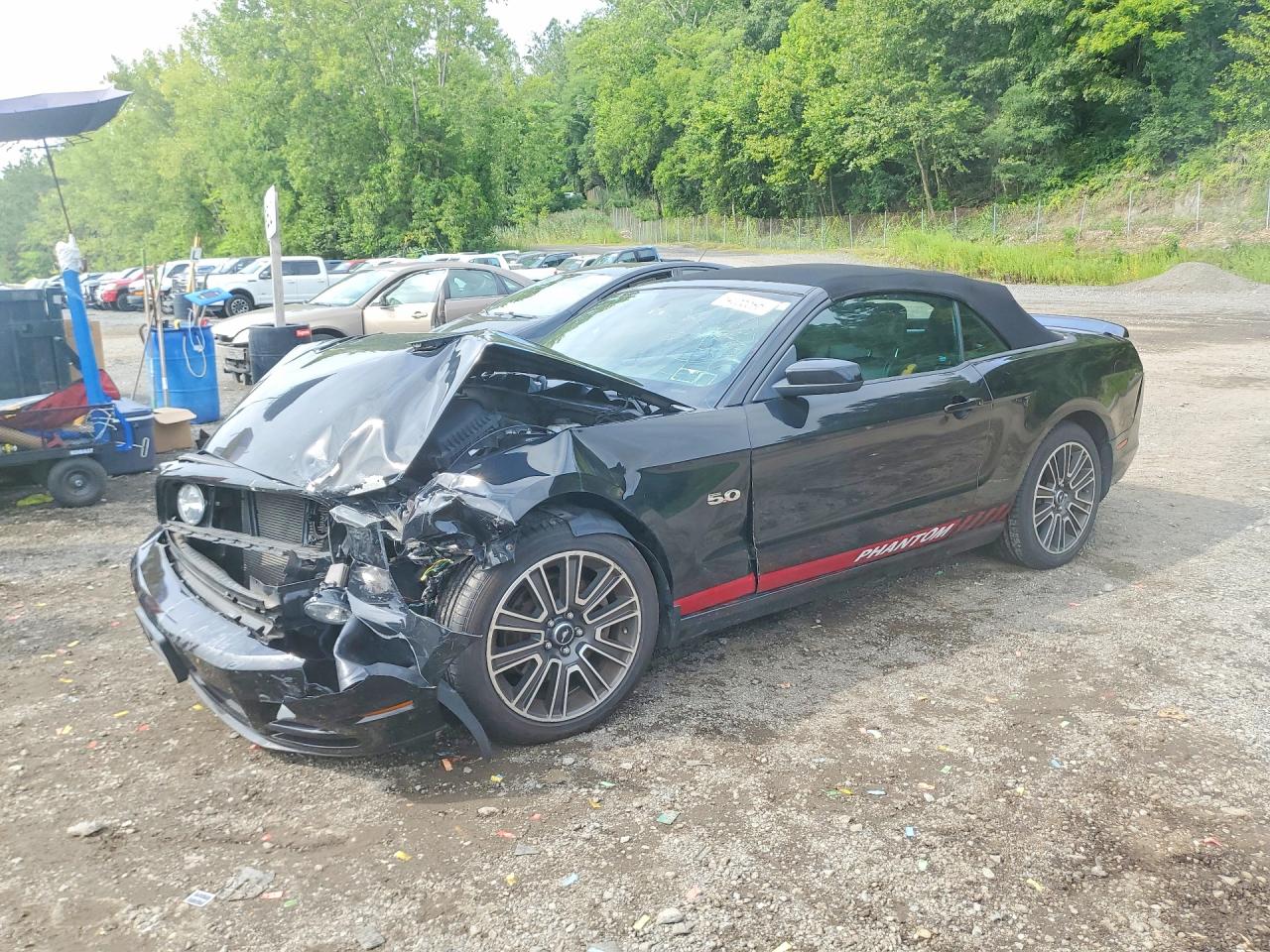 2013 FORD MUSTAN GT | 1ZVBP8FF7D5254132 | UPCARS