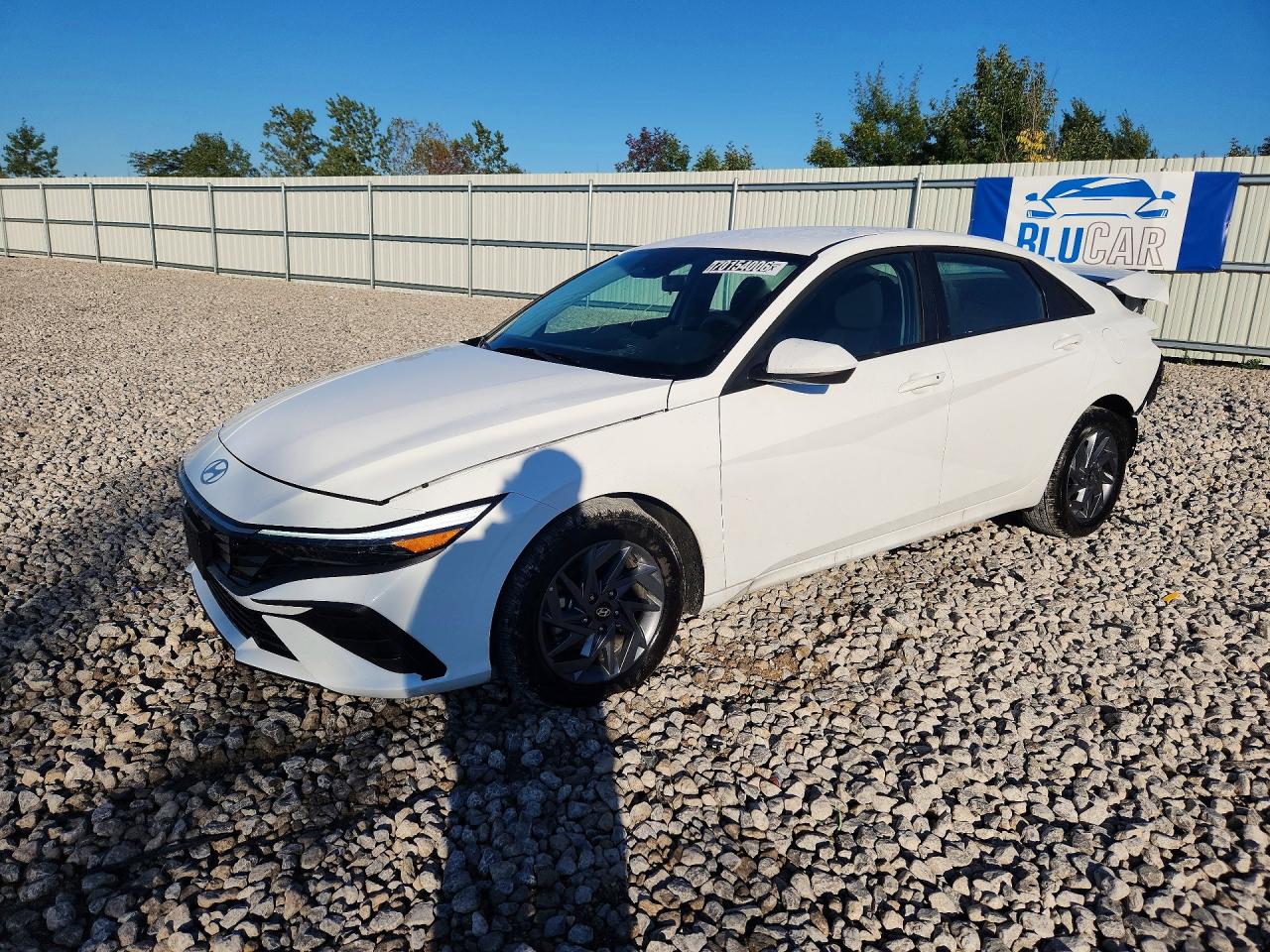 2026 HYUNDAI ELANTRA BLUE | KMHLM4DJ0TU213521 | UPCARS