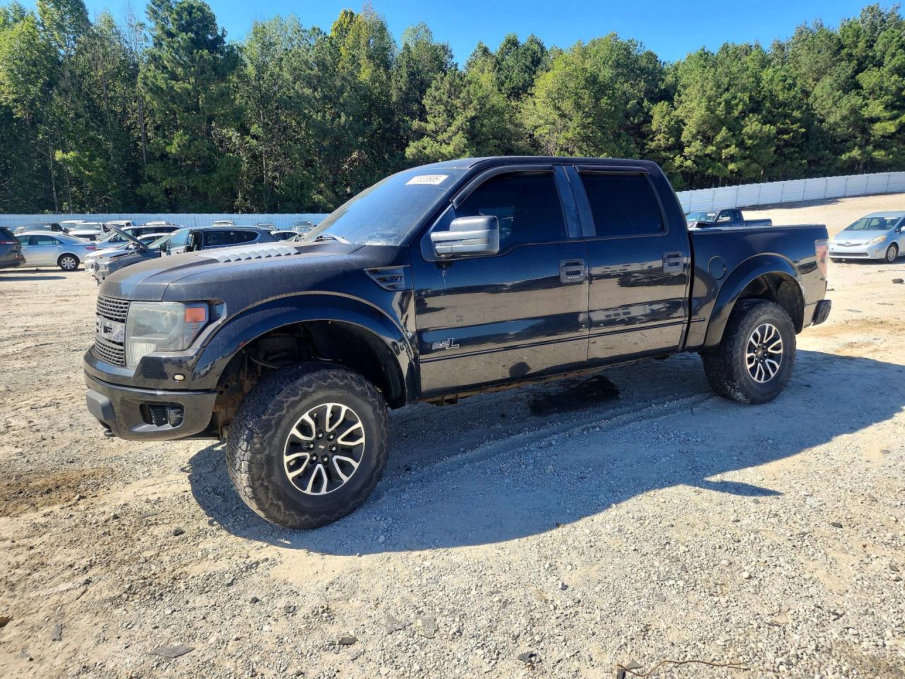 2013 FORD F150 SVT RAPTOR | 1FTFW1R62DFC33824 | UPCARS