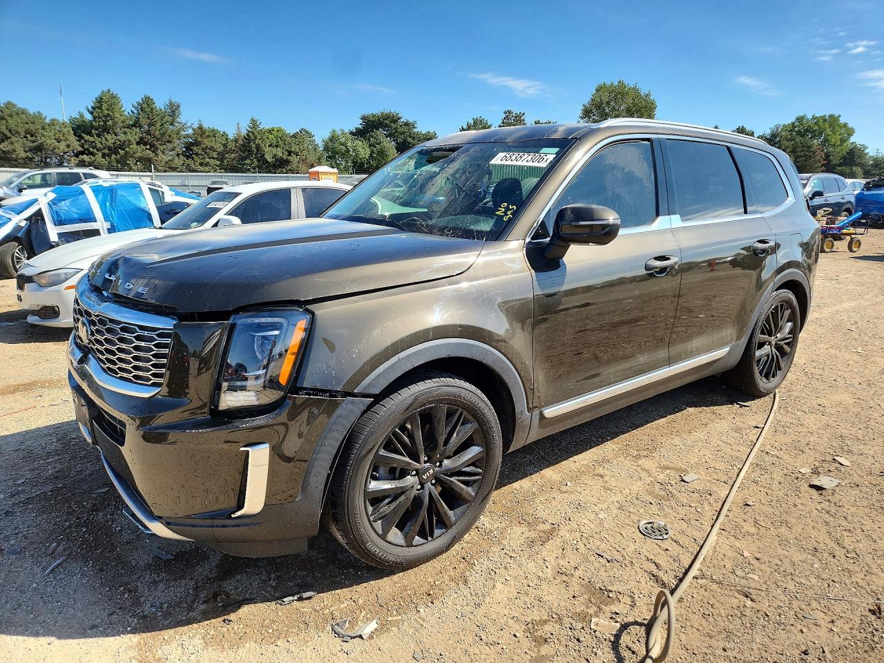 2020 KIA TELLURID EX | 5XYP3DHCXLG069613 | UPCARS