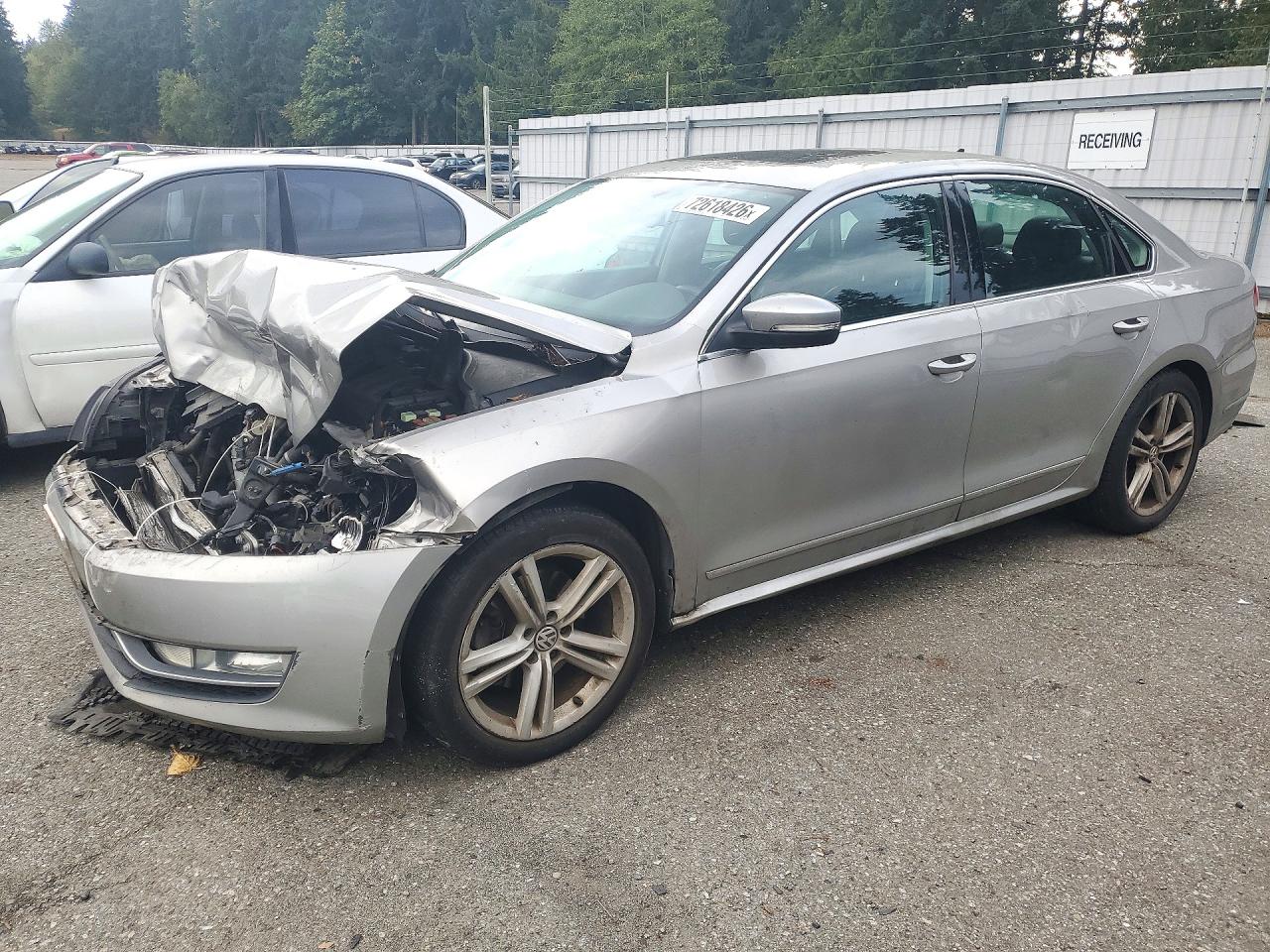 2013 VOLKSWAGEN PASSAT SEL | 1VWCN7A33DC065118 | UPCARS