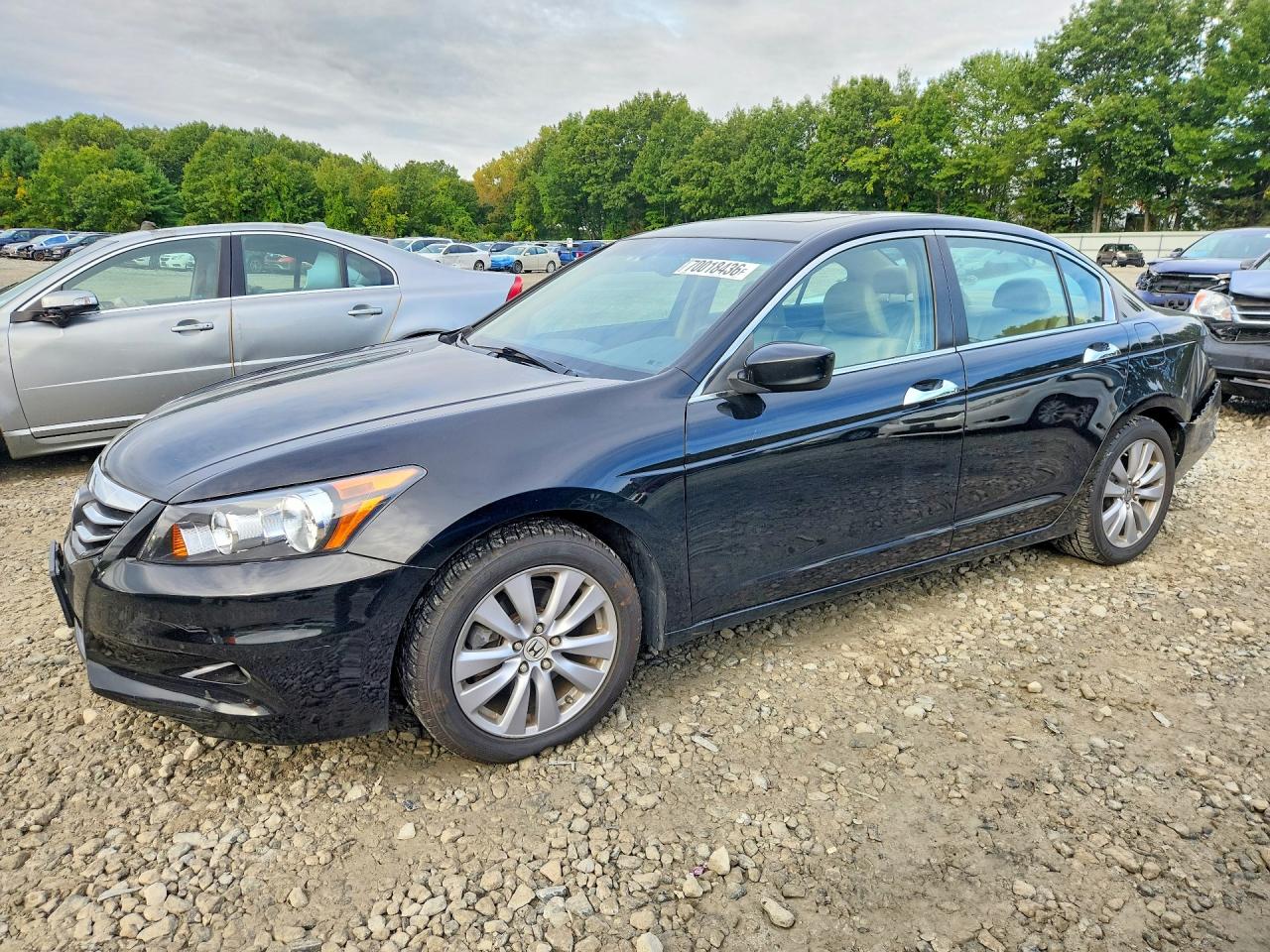 2011 HONDA ACCORD EXL | 1HGCP3F83BA001164 | UPCARS