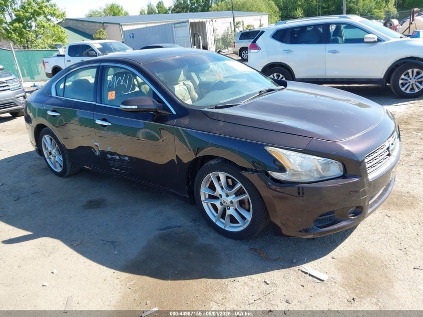 2011 NISSAN MAXIMA 3.5 SV | 1N4AA5AP9BC843731 | UPCARS