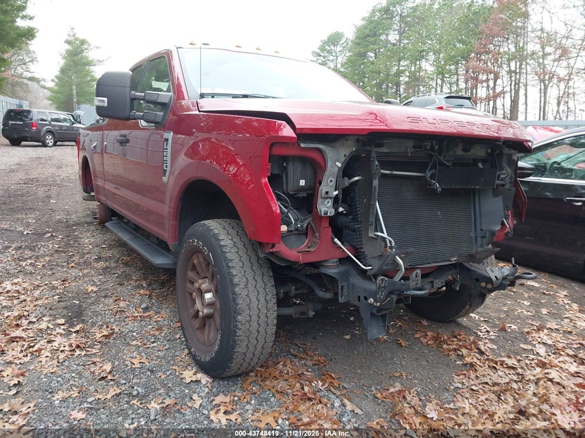 2019 FORD F-250 XLT | 1FT7X2B61KED59158 | UPCARS