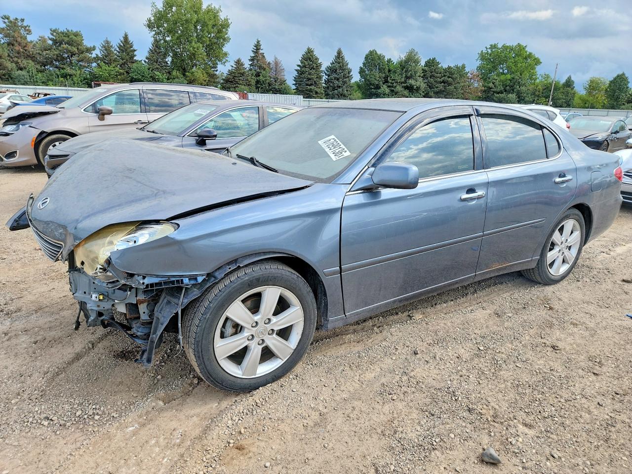 2005 LEXUS ES330 | JTHBA30G455075720 | UPCARS