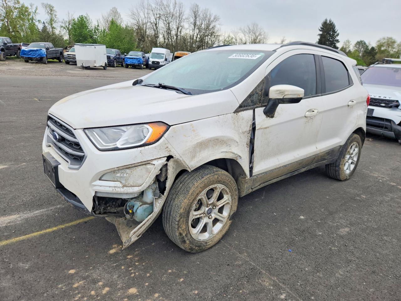2019 FORD ECOSPORT SE | MAJ6S3GL7KC257444 | UPCARS