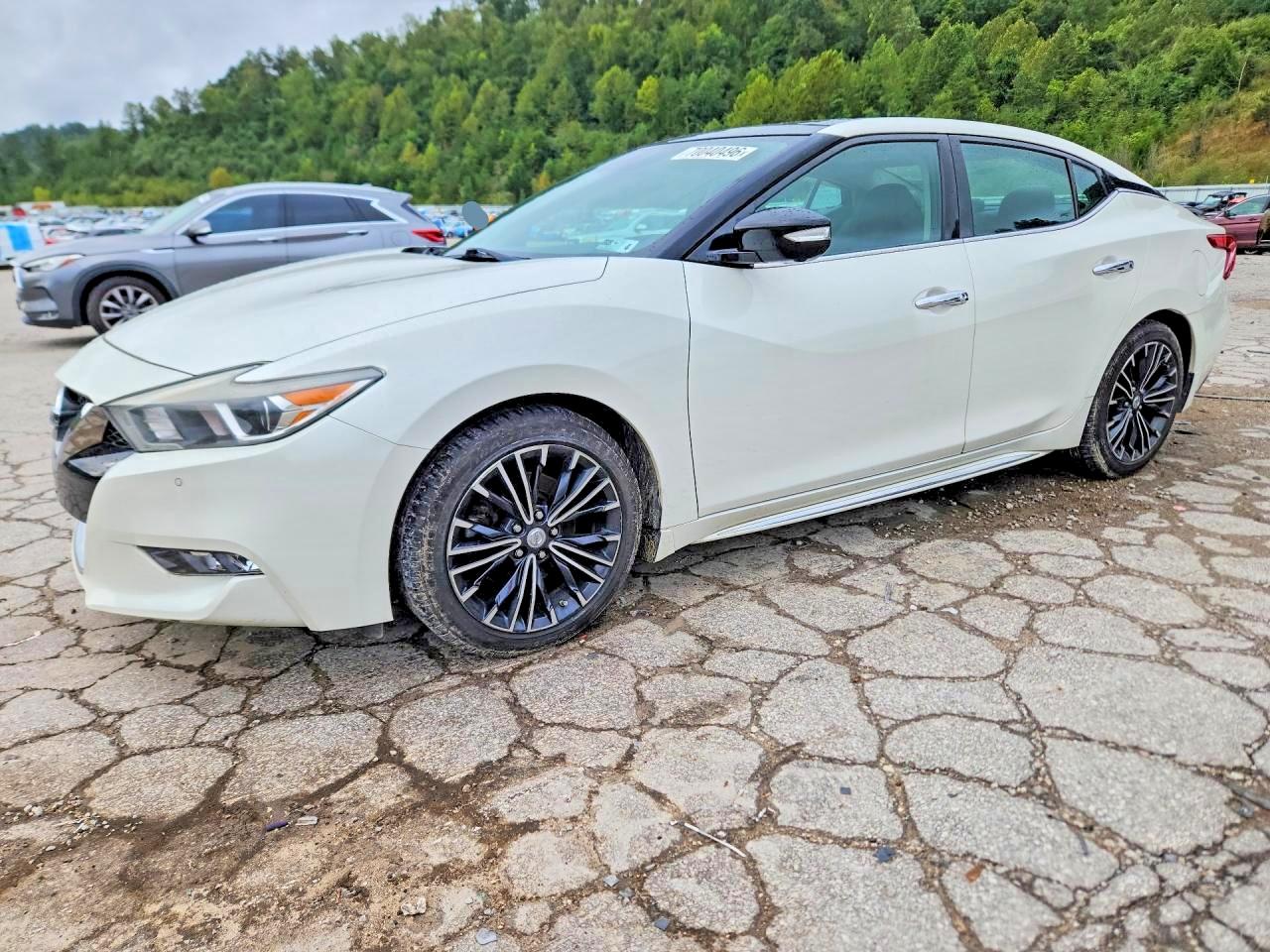 2016 NISSAN MAXIMA PLATINUM | 1N4AA6AP7GC381263 | UPCARS