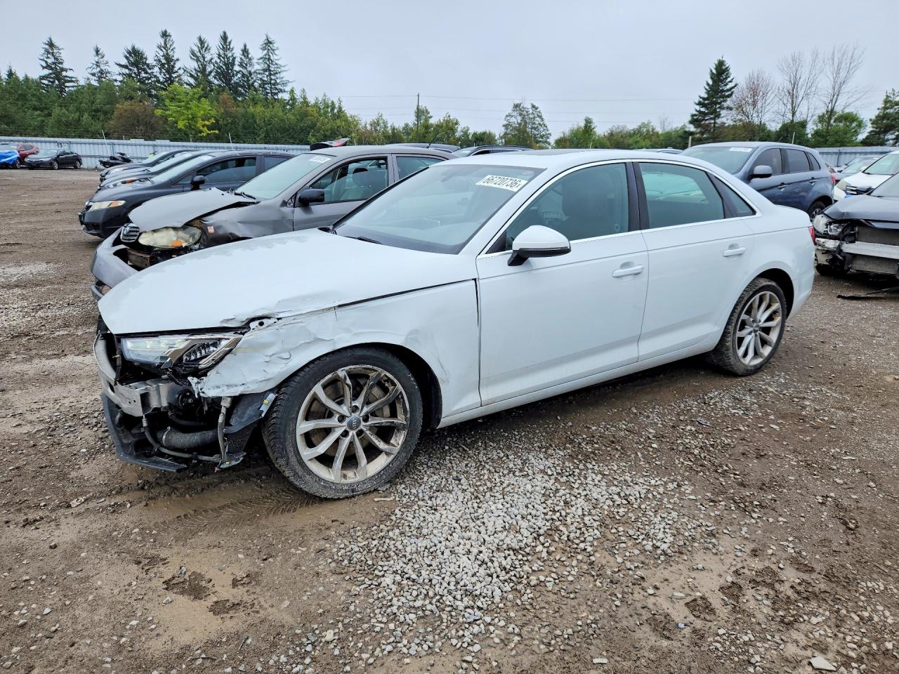 2017 AUDI A4 PROGRESSIV | WAUBNAF46HA084516 | UPCARS