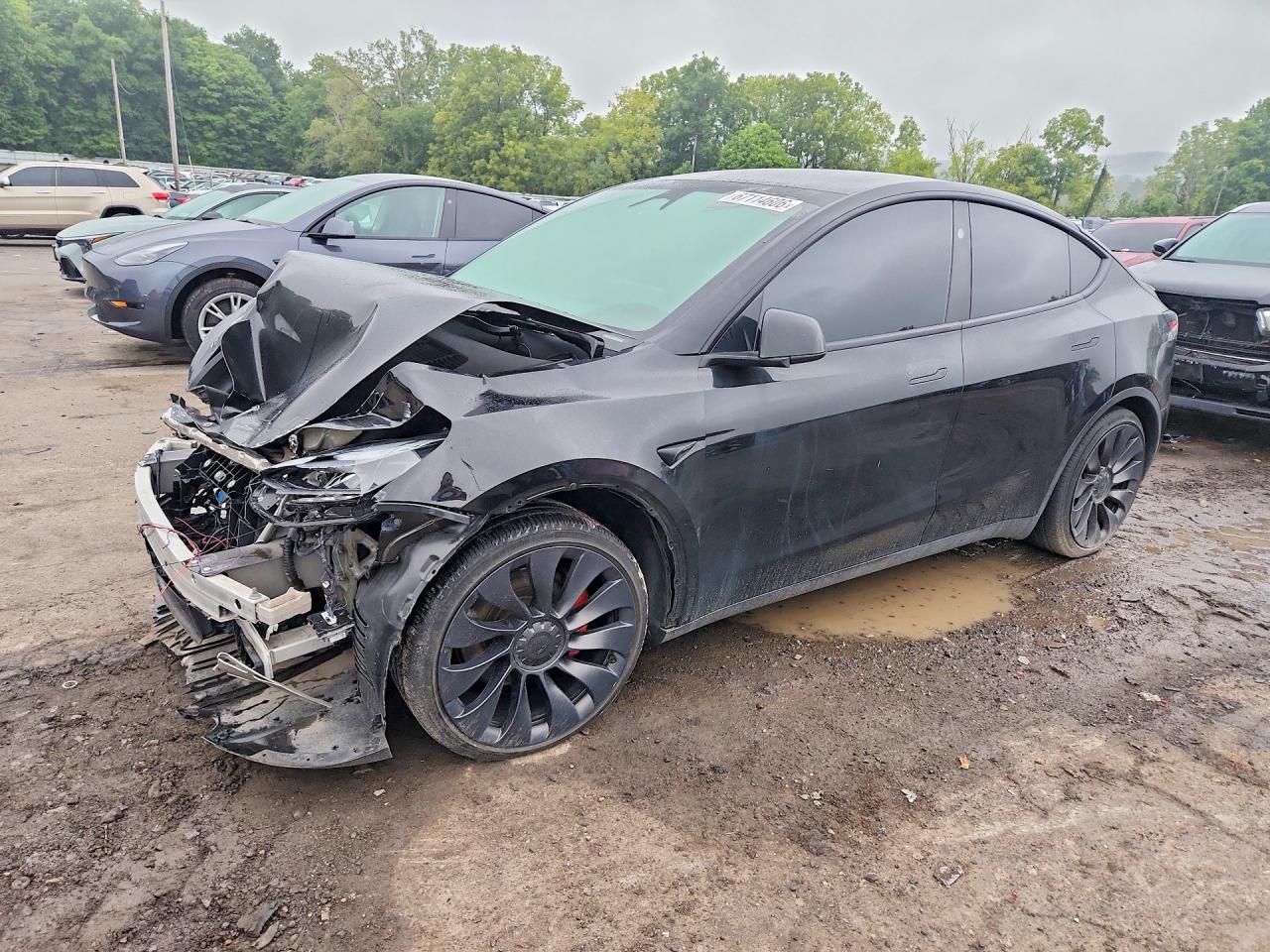 2025 TESLA MODEL Y | 7SAYGDEF1SA364788 | UPCARS