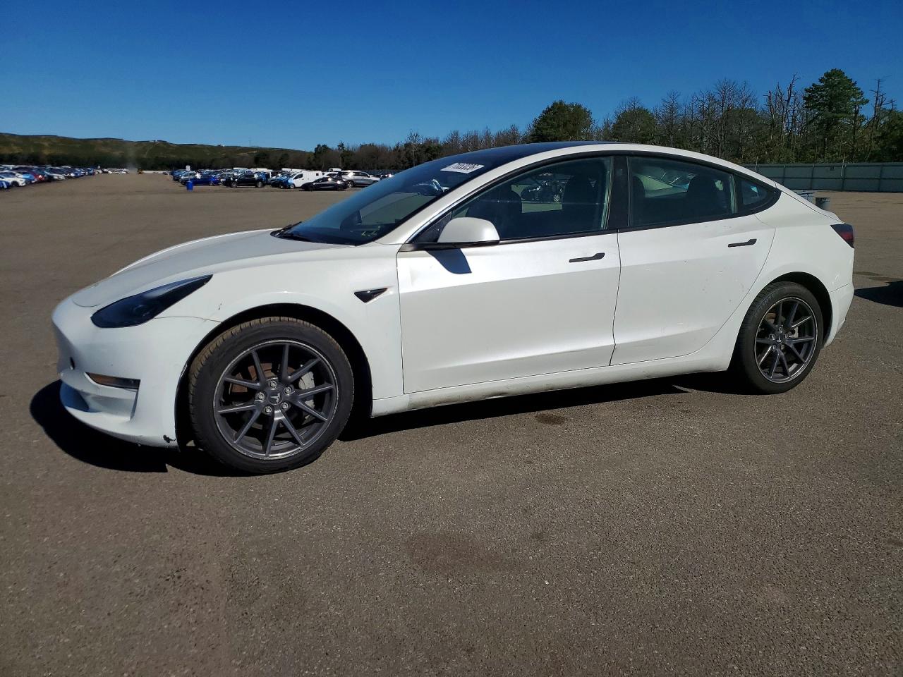 2021 TESLA MODEL 3 | 5YJ3E1EA5MF030253 | UPCARS