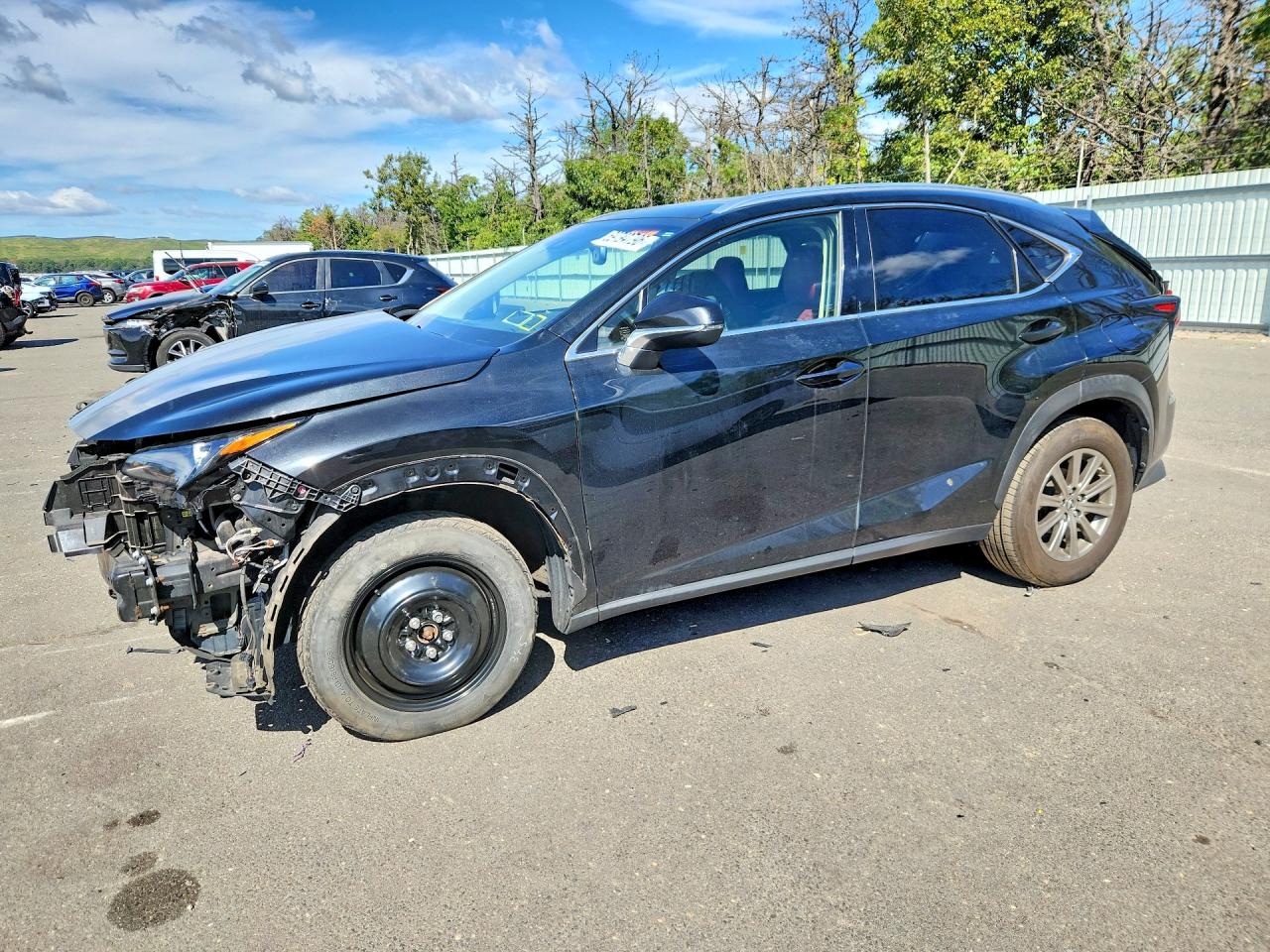 2019 LEXUS NX BASE | JTJBARBZ0K2203478 | UPCARS