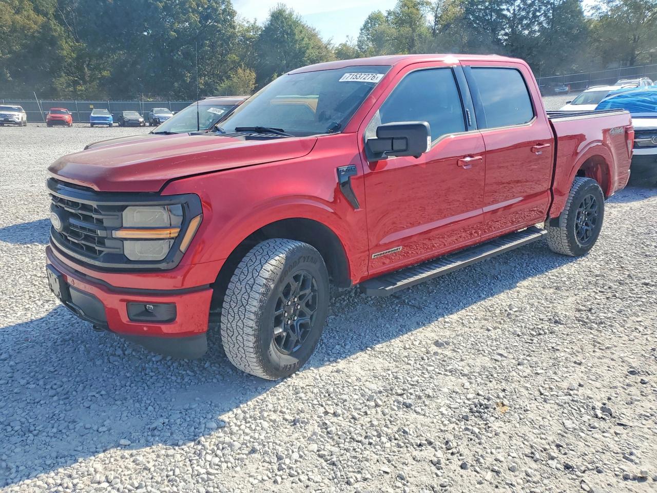 2024 FORD F150 XLT | 1FTFW3LD2RFB69424 | UPCARS