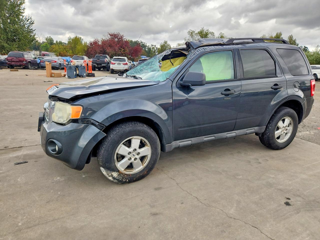2009 FORD ESCAPE XLT | 1FMCU03G59KA94965 | UPCARS