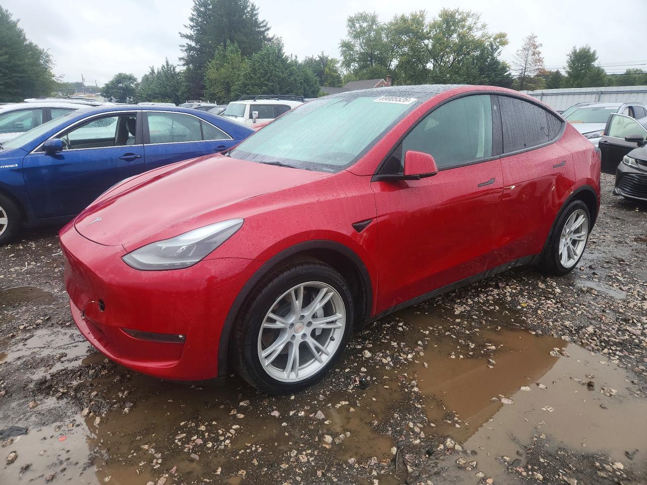 2023 TESLA MODEL Y | 7SAYGDEE2PF661294 | UPCARS