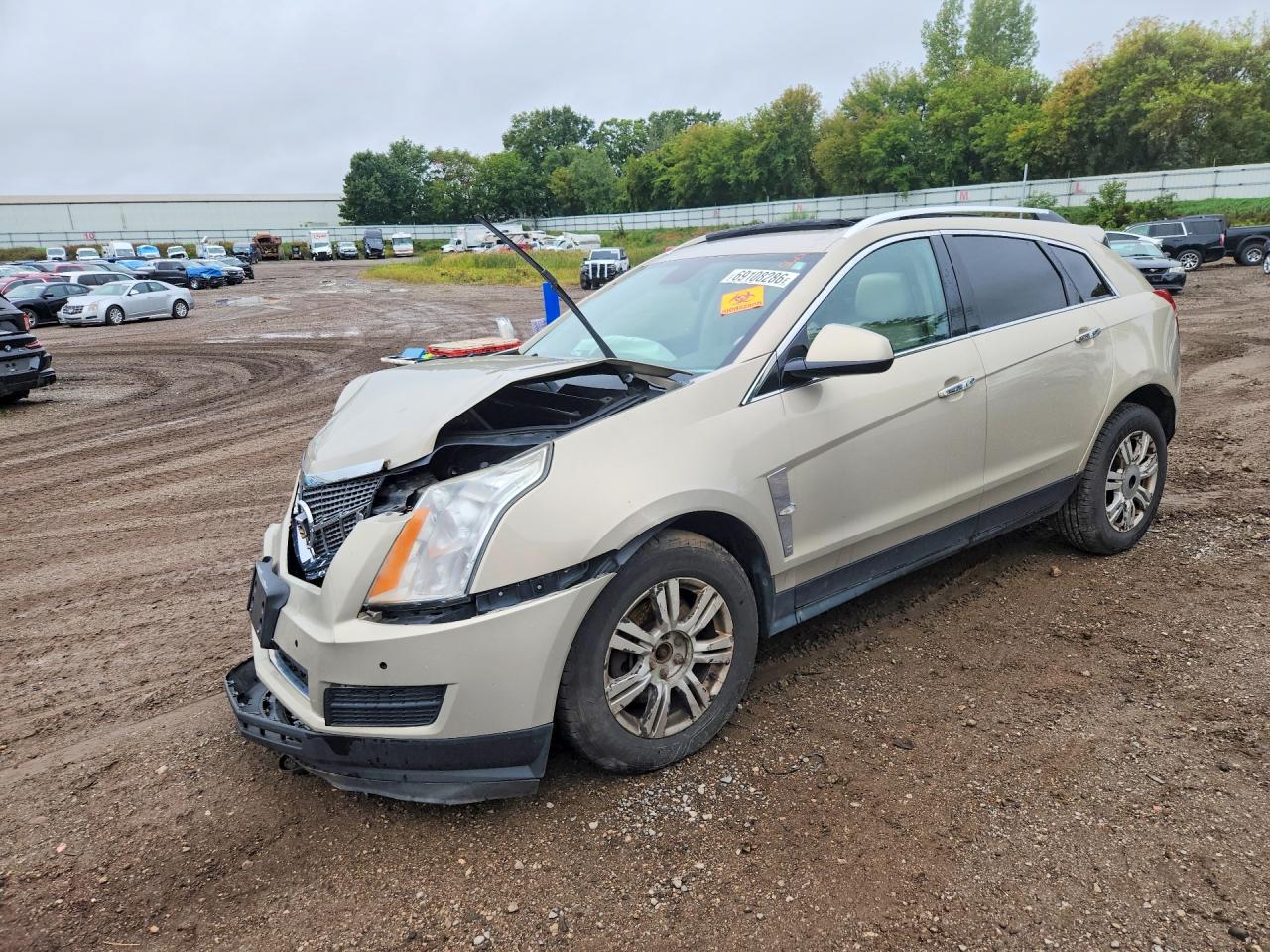 2011 CADILLAC SRX LUXURY COLLECTION | 3GYFNAEY5BS515713 | UPCARS