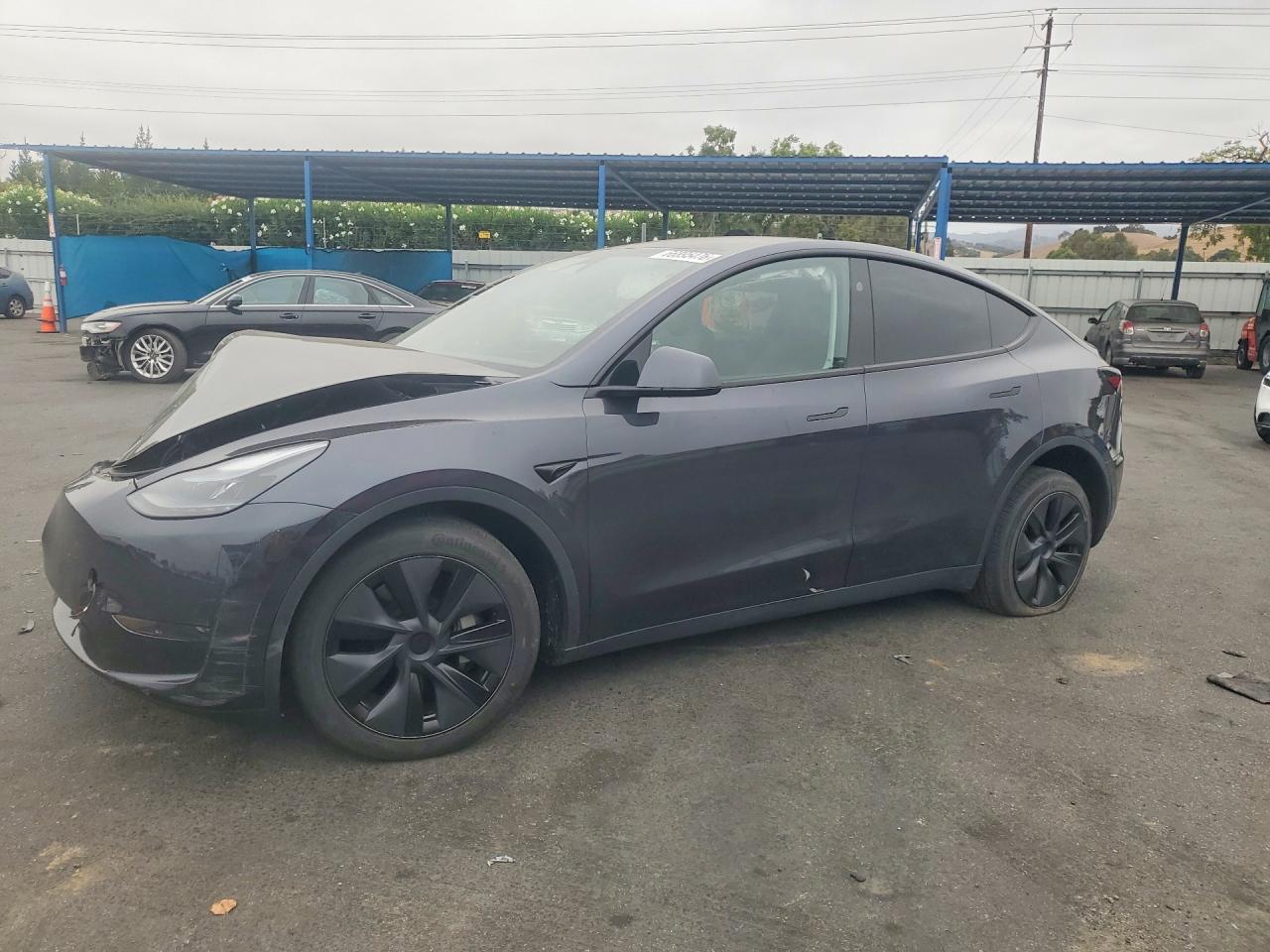 2025 TESLA MODEL Y | 7SAYGDED4SF275816 | UPCARS