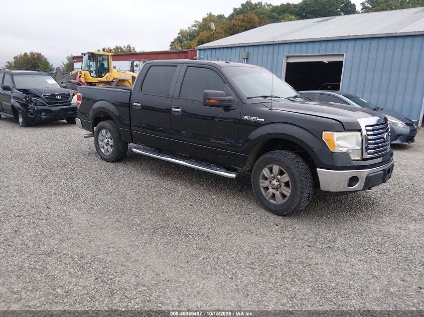 2010 FORD F-150 FX4/HARLEY-DAVIDSON/KING RANCH/LARIAT/PLATINUM/XL/XLT | 1FTFW1EV6AFD64859 | UPCARS