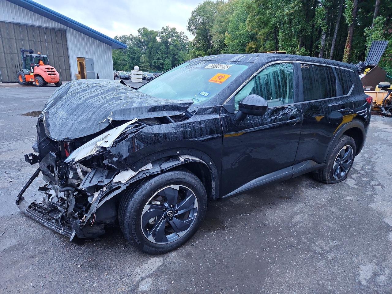 2025 NISSAN ROGUE SV | 5N1BT3BA9SC815382 | UPCARS