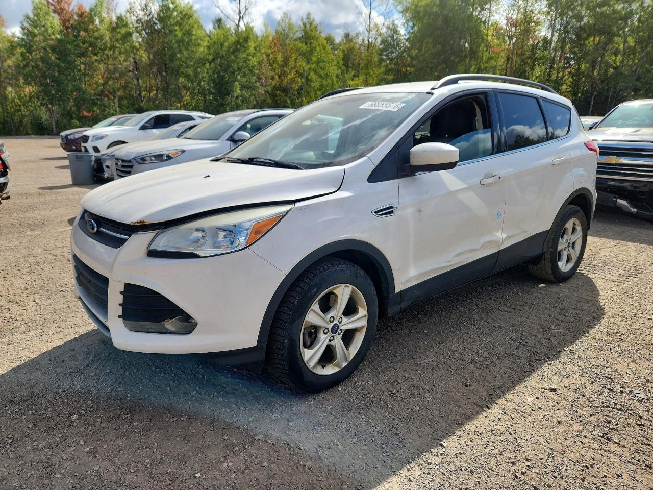 2014 FORD ESCAPE SE | 1FMCU9G96EUD47368 | UPCARS
