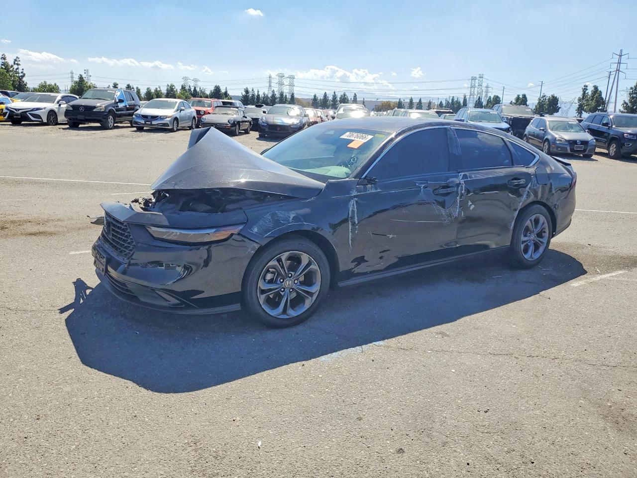 2024 HONDA ACCORD EX | 1HGCY1F39RA069419 | UPCARS