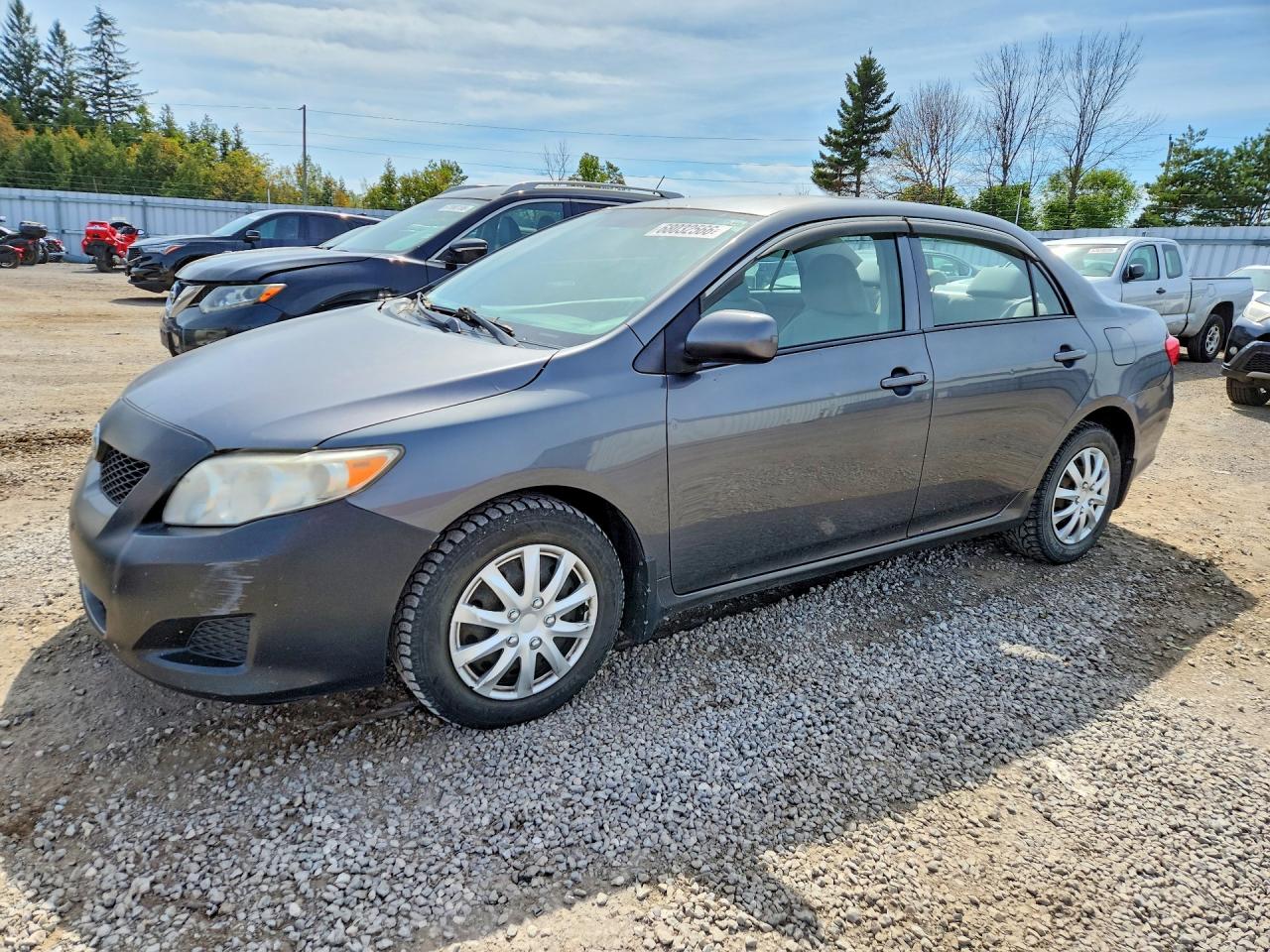 2010 TOYOTA COROLLA BASE | 2T1BU4EE3AC353249 | UPCARS