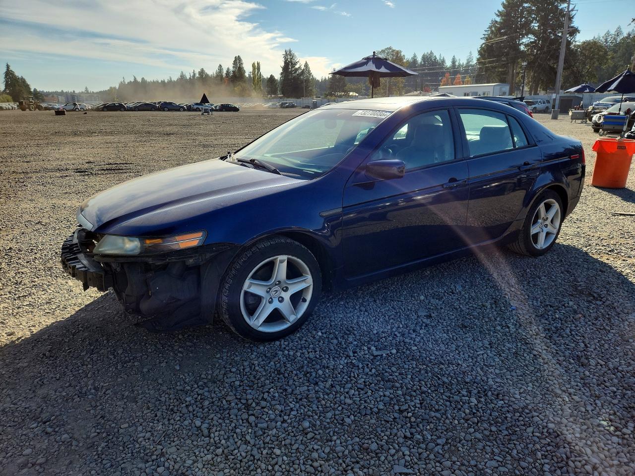 2005 ACURA TL | 19UUA66225A054140 | UPCARS