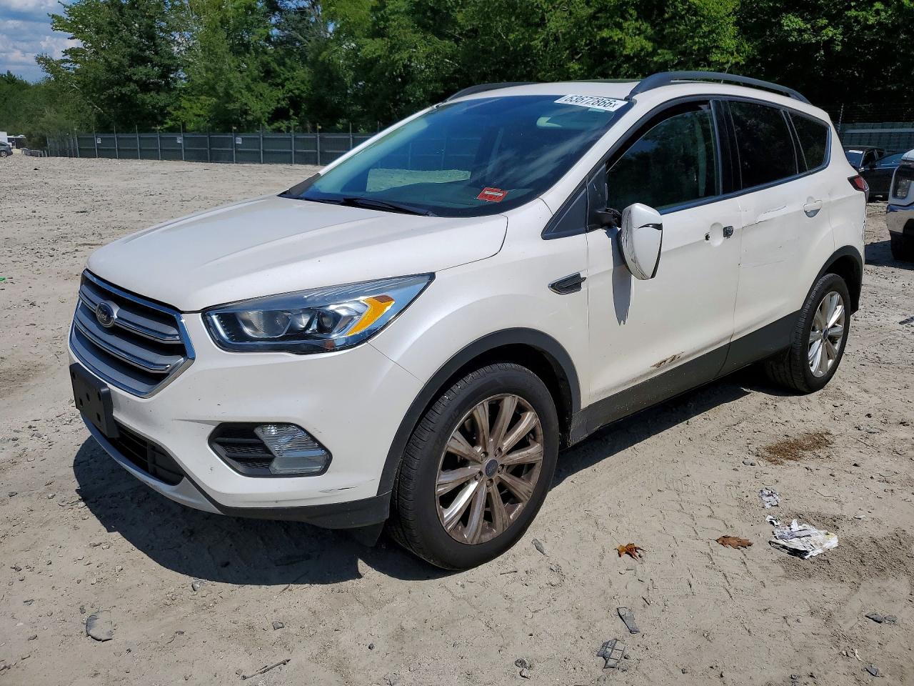 2019 FORD ESCAPE SEL | 1FMCU9HD5KUA73109 | UPCARS