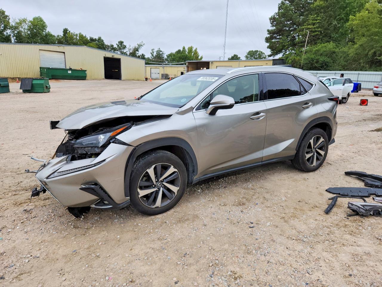 2018 LEXUS NX BASE | JTJYARBZ9J2086220 | UPCARS