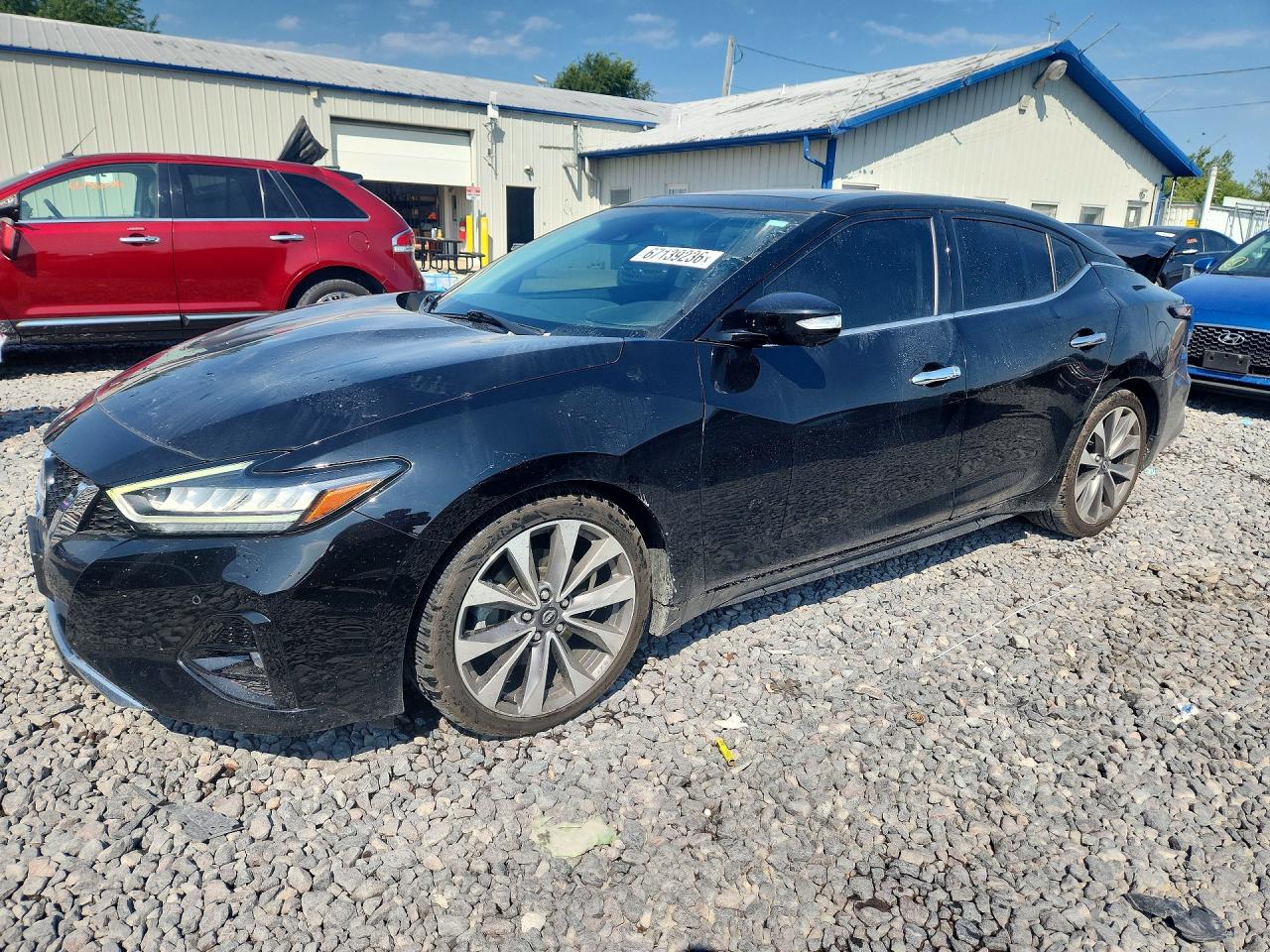 2023 NISSAN MAXIMA PLATINUM | 1N4AA6FVXPC501452 | UPCARS