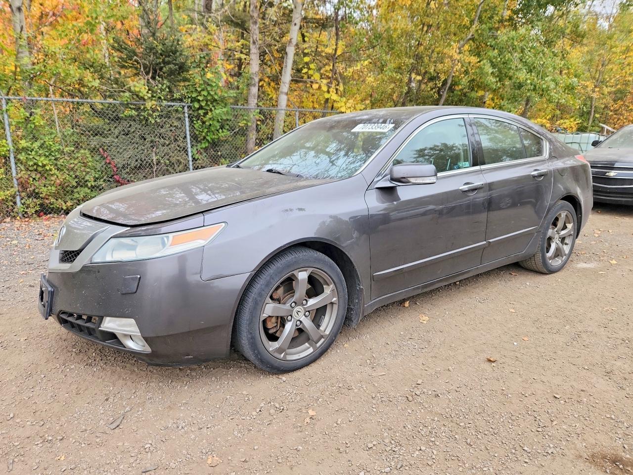 2010 ACURA TL | 19UUA9F57AA800619 | UPCARS