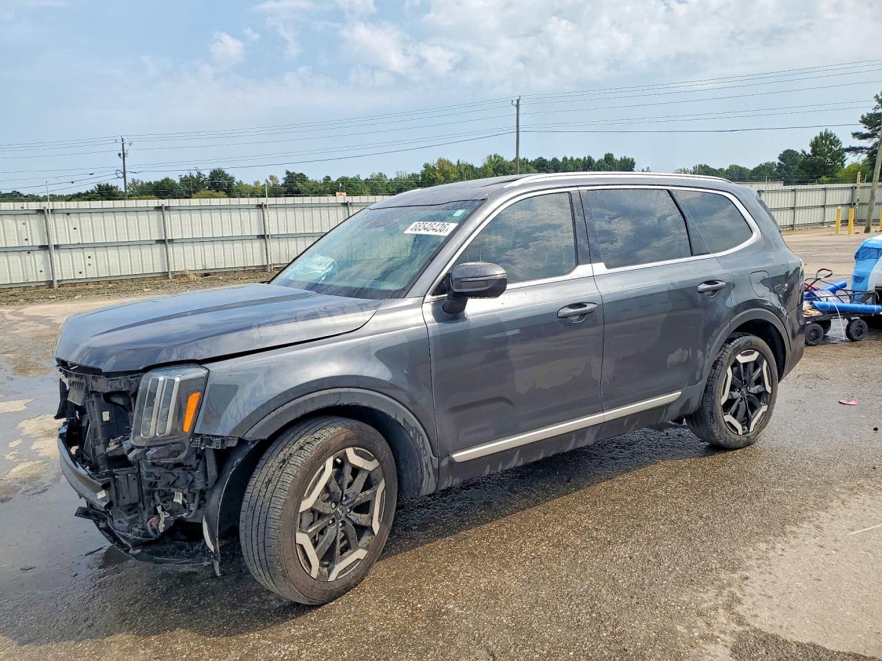 2024 KIA TELLURID EX | 5XYP34GC5RG495526 | UPCARS