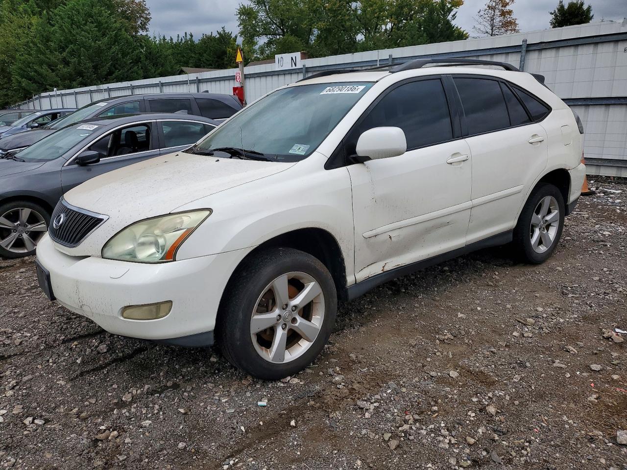 2007 LEXUS RX 350 | JTJHK31U972007590 | UPCARS